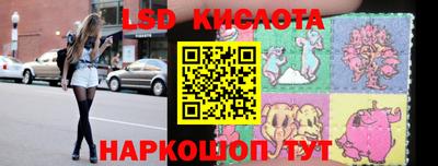 кокс Гатчина