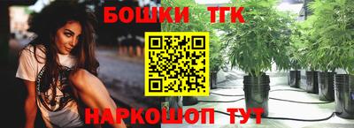 стаф Будённовск