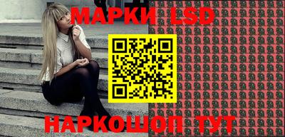 кокс Гатчина