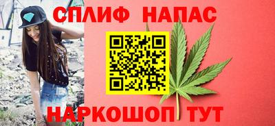 кокс Гатчина