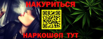 кокс Гатчина