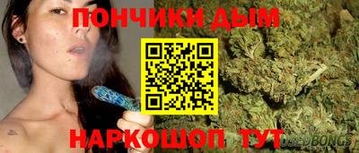 кокс Гатчина