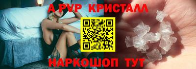 кокс Гатчина