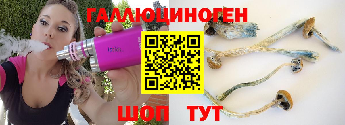 Галлюциногенные грибы GOLDEN TEACHER  Котлас  Галлюциногенные грибы мухоморы 