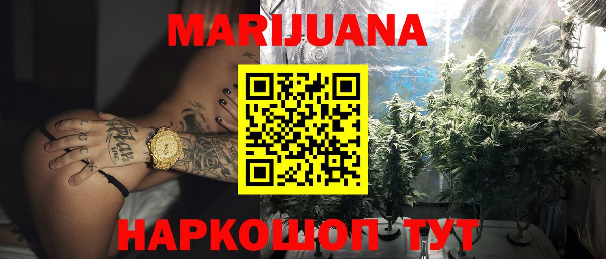 Бошки марихуана планчик  Бошки Шишки план  Котлас  МАРИХУАНА Amnesia 