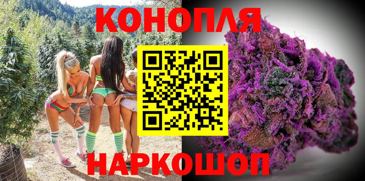 Бошки марихуана Bruce Banner Котлас